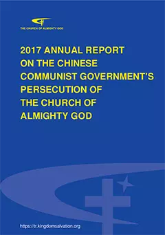 CAG 2017 report