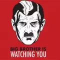1984 Big Brother is watching you